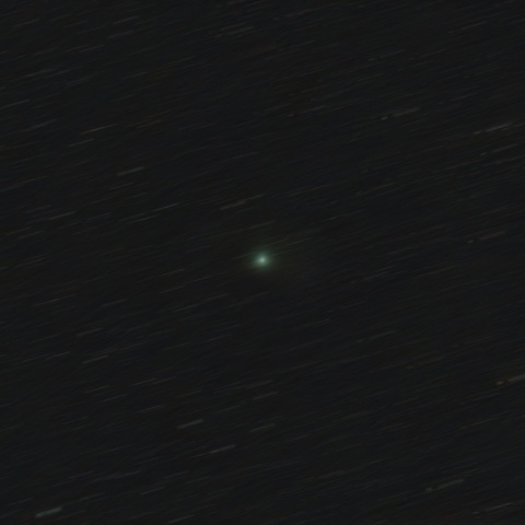 11/06のスワン彗星(C/2025 R2)