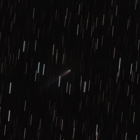 11/19早朝のC/2025 K1(ATLAS彗星)