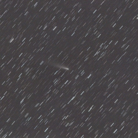 11/27のC/2025 K1（アトラス彗星）