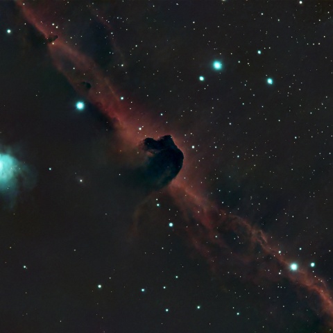 02/13の馬頭星雲