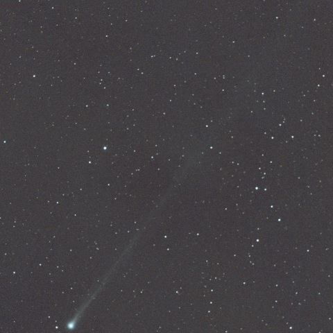 C/2025 R3(パンスターズ彗星)