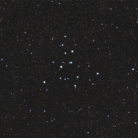 M39