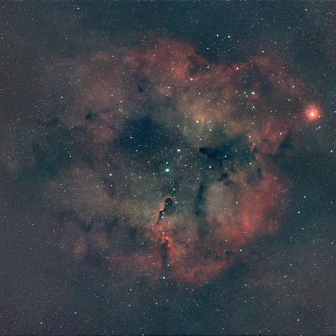 IC1396