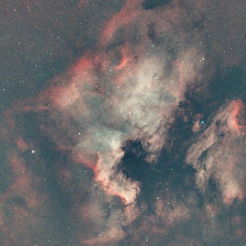 08/25の 北アメリカ星雲（NGC7000）