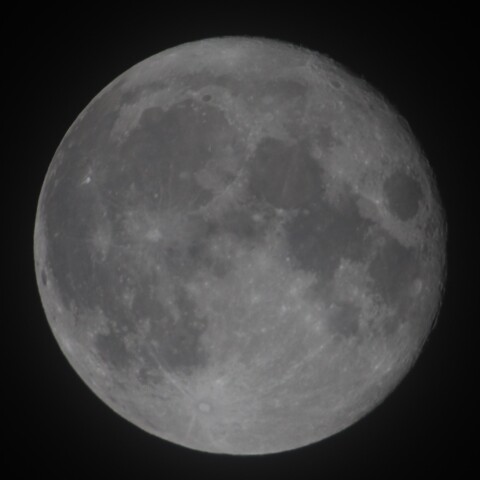 満月だと思ったら違ったようです。