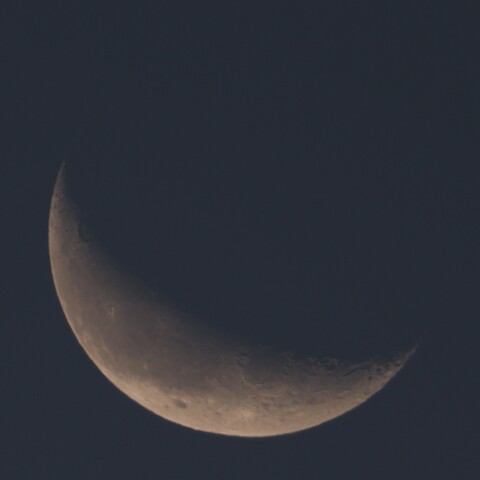 9月2日早朝の月（月齢24）