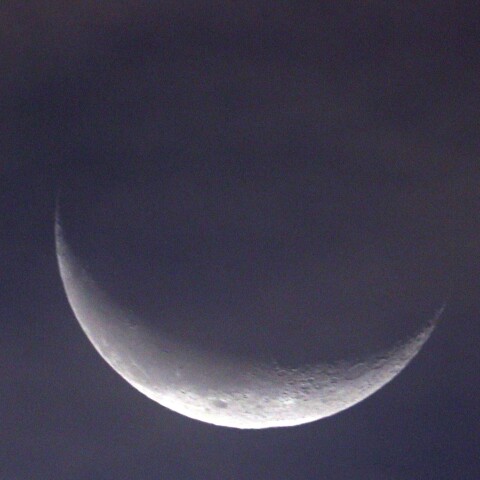 9月3日早朝の月（月齢25）