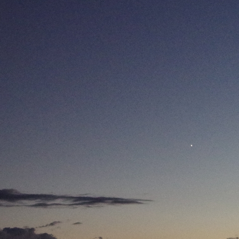 月、金星、スピカが一直線！