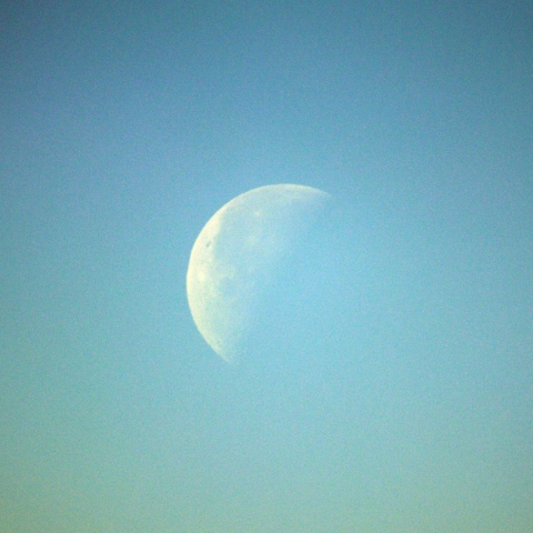 真昼の月（月齢23？）