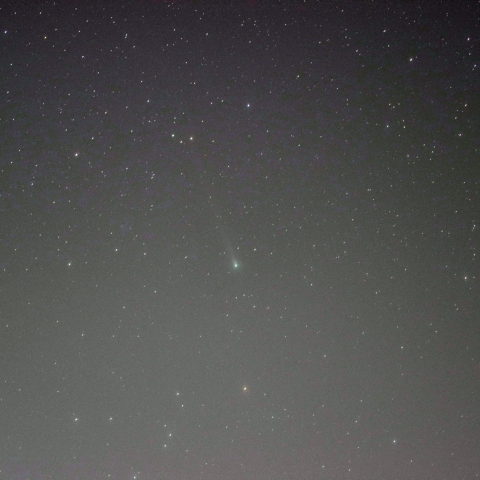 12/9のレナード彗星