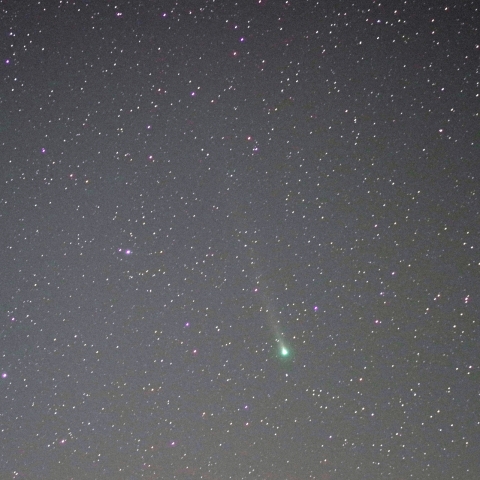 12/10のレナード彗星