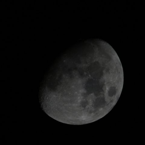 12/14の月（月齢10）