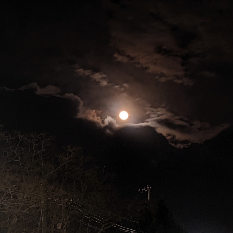 2022年のウルフムーン