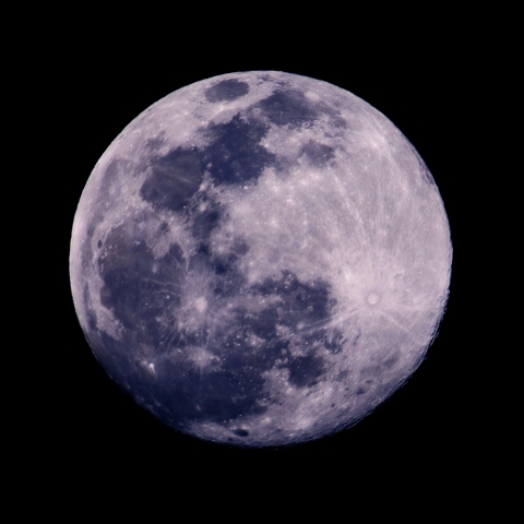 #80290の強調画像