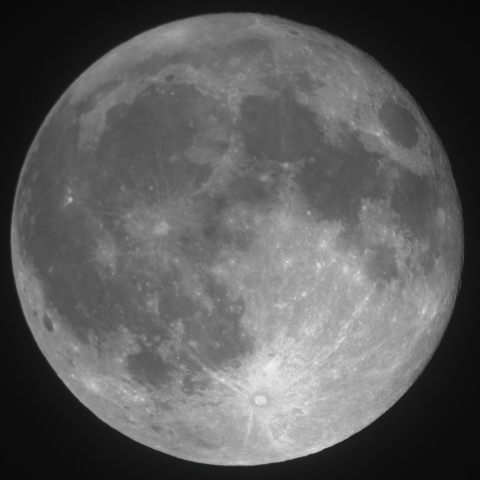 フラワームーン