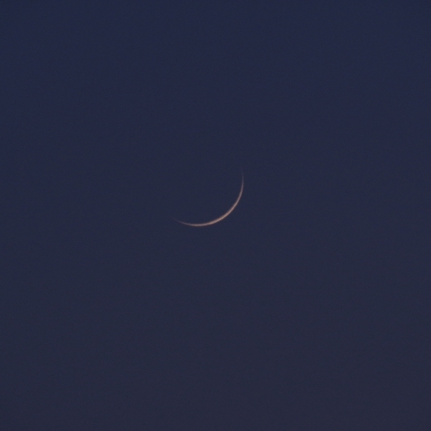 2022/0601の細い月