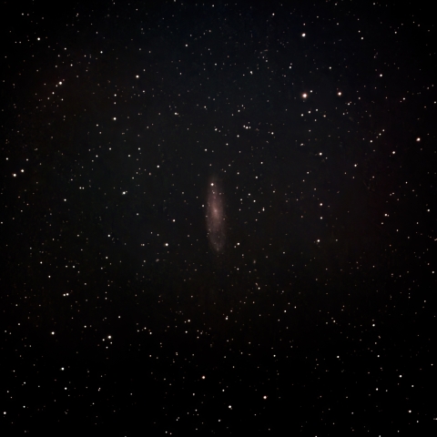 10/26のNGC247