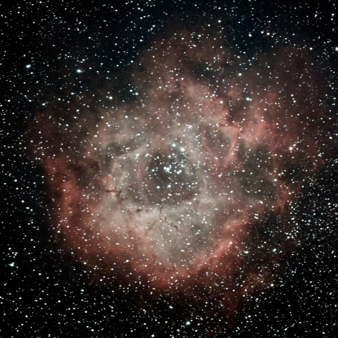 10/25のNGC2237
