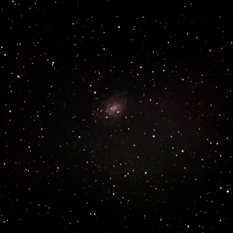 10/25のNGC300