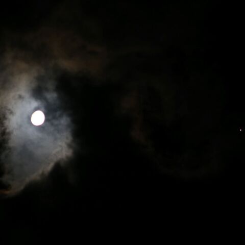 11/5の月（月齢11）と木星の接近