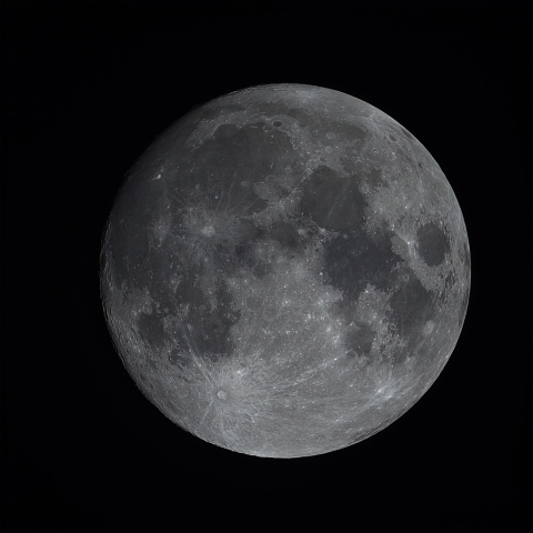  11/7の月（月齢１３）