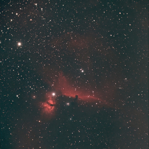 冬の終わりの記念撮影2023（その２）