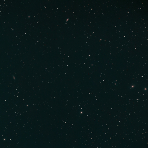 春が来たかも?(その1)