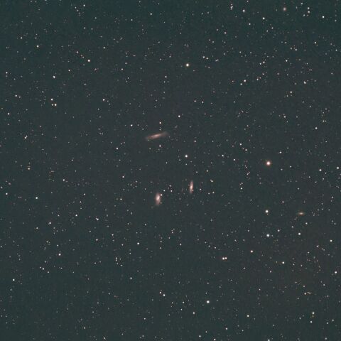 春が来たかも？（その２）