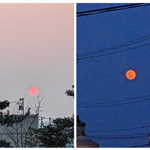3/7のワームムーンと太陽の出没（左: 日没、右: 月の出）