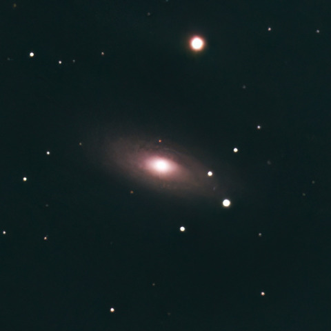 5/16のNGC2841
