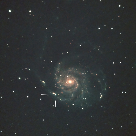 5/23のM101と超新星(SN2023ixf)