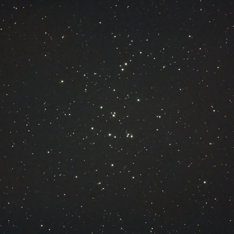 6/5のM44（プレセペ星団）