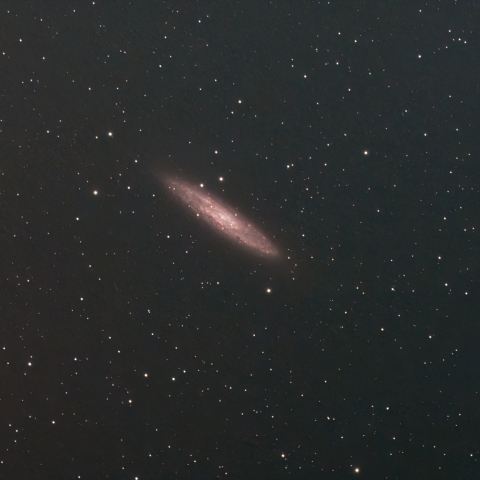 8/23のNGC253