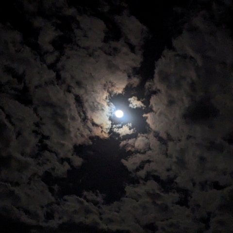 9/29早朝の月（月齢14）