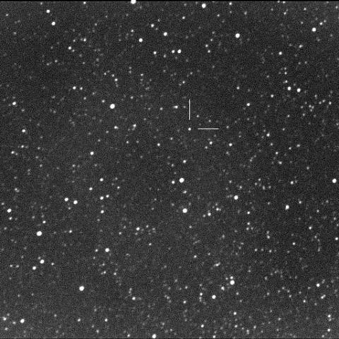 Nova Sagittari 2010 No.2