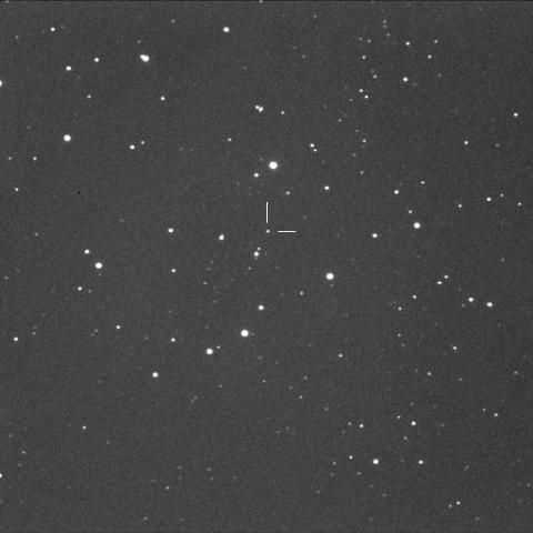 NEW VARIABLE STAR IN CYGNUS