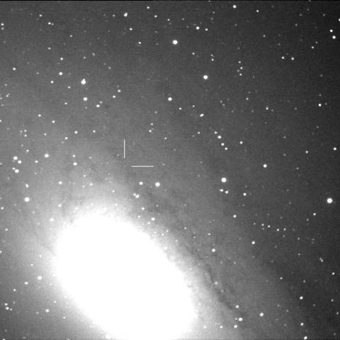 APPARENT NOVA IN M31 (M31N 2010-10a)