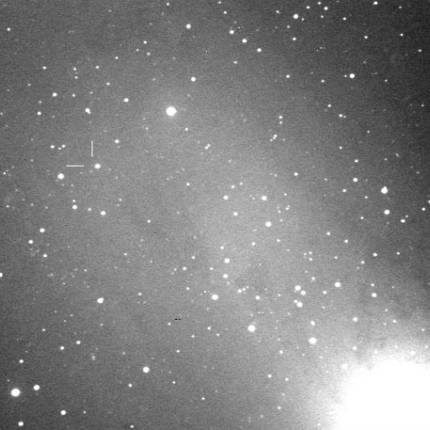 APPARENT NOVA IN M31 (M31N 2010-10c)