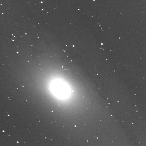 NOVA IN M31 (M31N 2011-01a)