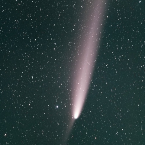 紫金山-アトラス彗星～0.600 au