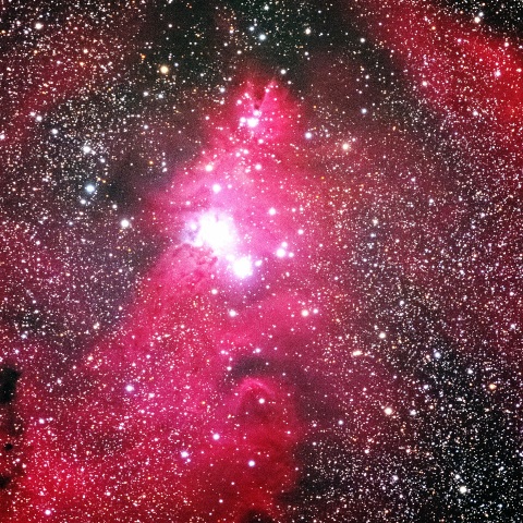 Christmas Tree Cluster