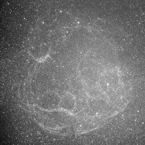 Sh2-240 Monochrome Hα