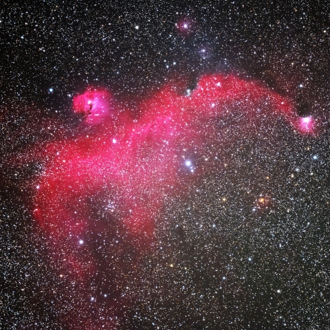Seagull Nebula
