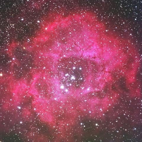 Rosette Nebula with 850mm lens