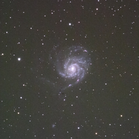 Pinwheel Galaxy～M101
