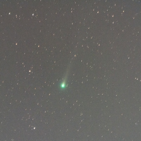 Comet C/2015 ER61 (PanSTARRS)