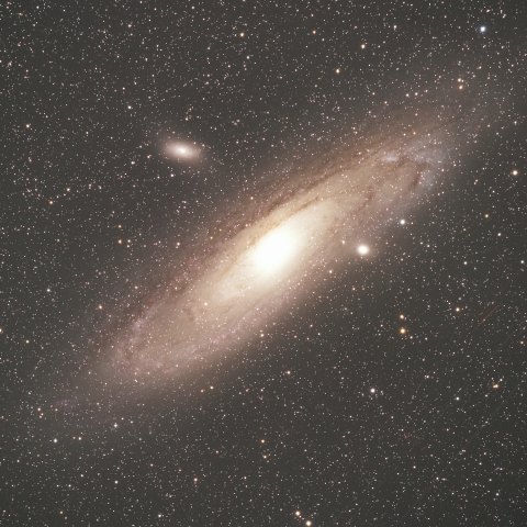 M31