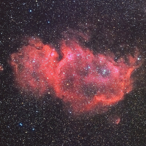 IC1848～coloring