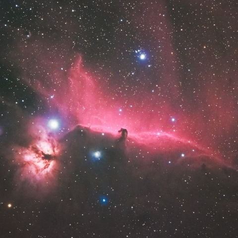 IC434＆NGC2024～coloring