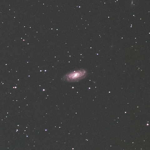 NGC3953